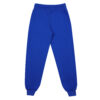 Inferis-Obsidian-Joggers-Enfants-Blauw-Productfoto-Achteraanzicht.jpg